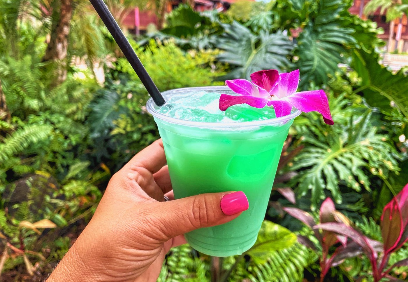 A plastic cup of heart of polynesia drink being held infront of some green bushes. The drink is bright green with a purple flower on top.