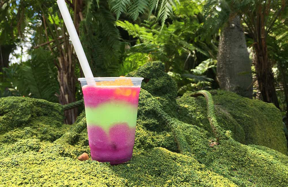 Night blossom drink standing on a grassy rock. The drink is green and purple and has orange bobas on the top