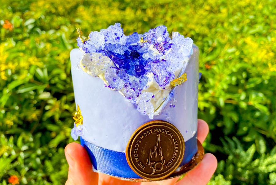 A picture of a purple crystal like Petit Cake being held infront of a bush.